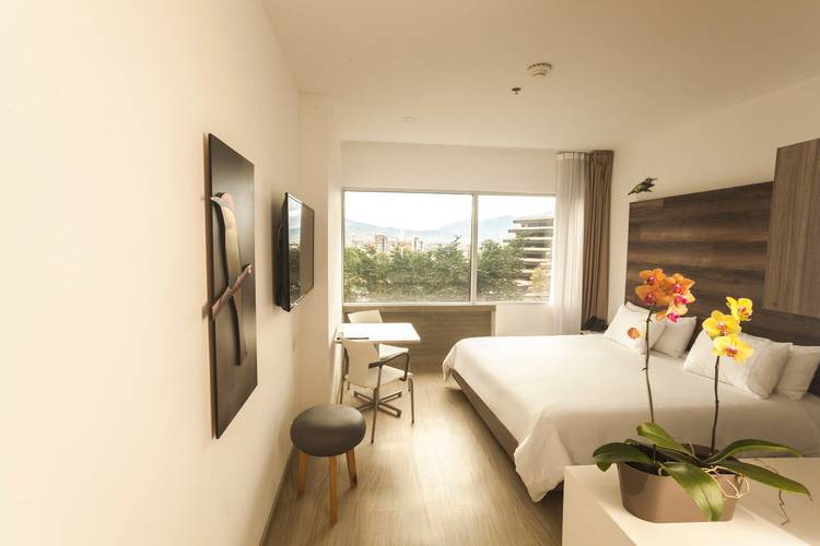 Room Viaggio Medellín Hotel