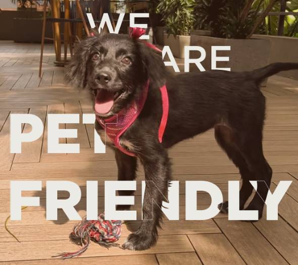 Somos pet friendly ($) Hotel Viaggio Medellín Grand Select